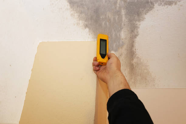 Best Biohazard Mold Removal  in Fowler, CO