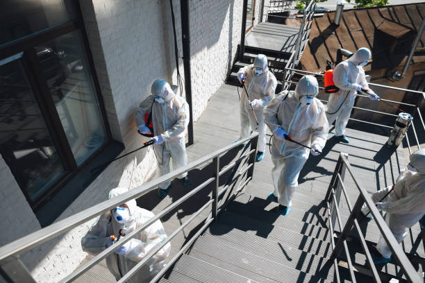 Best Biohazard Mold Removal  in Fowler, CO