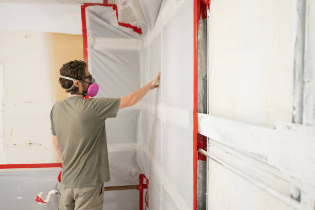 Fowler, CO Mold Removal Company