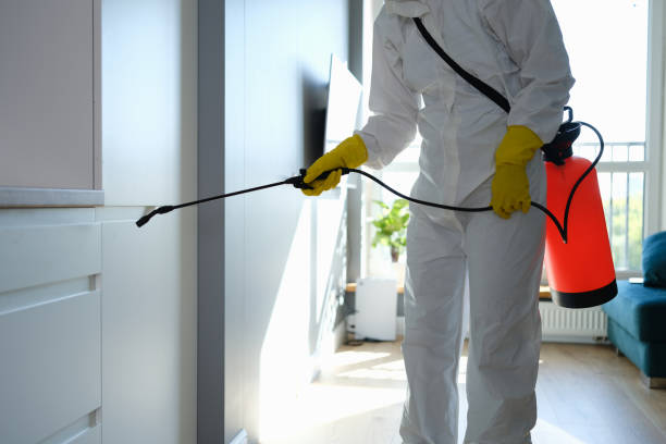 Asbestos and Lead Testing During Mold Inspection in Fowler, CO